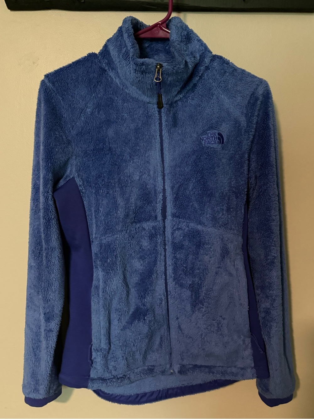 The North Face Women's Blue Teddy Fleece Jacket
